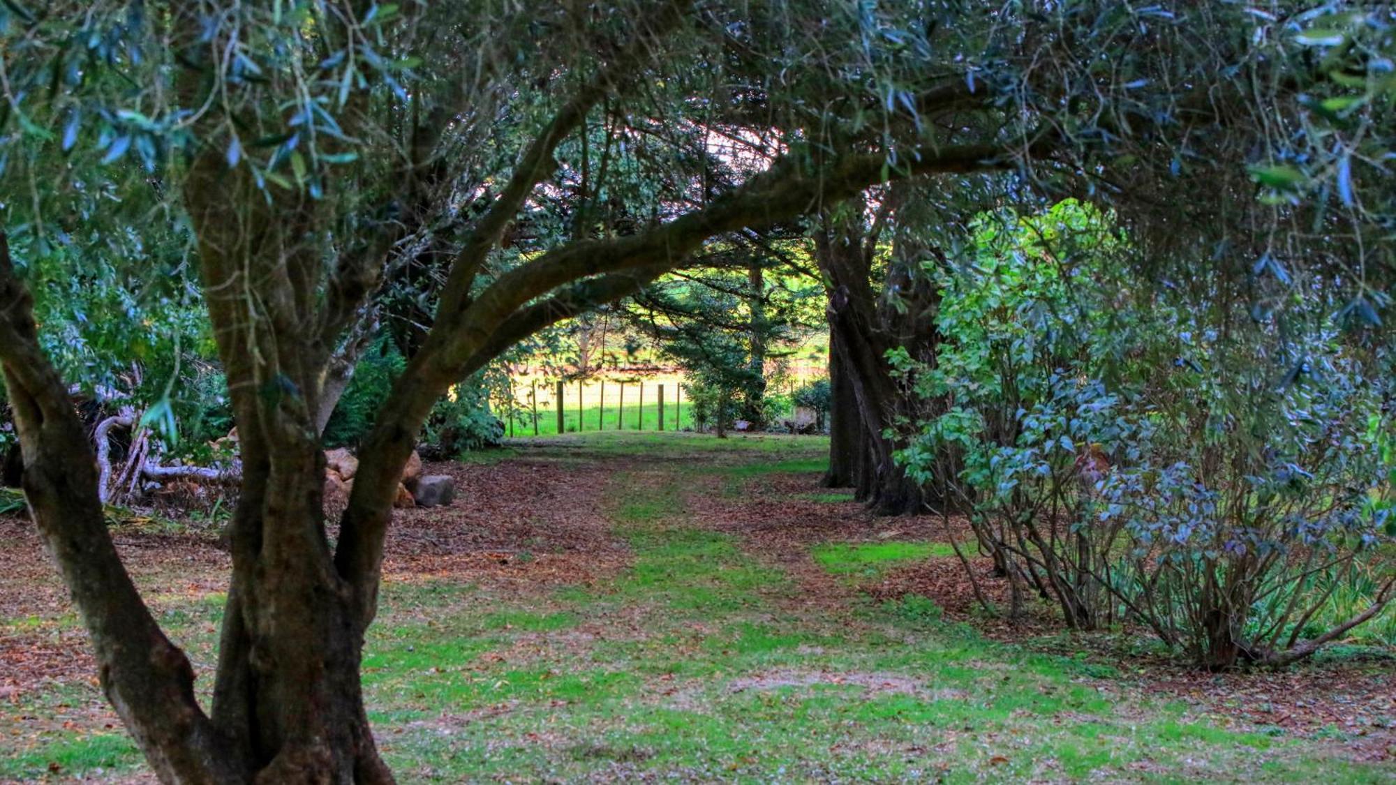 Holiday home Garden